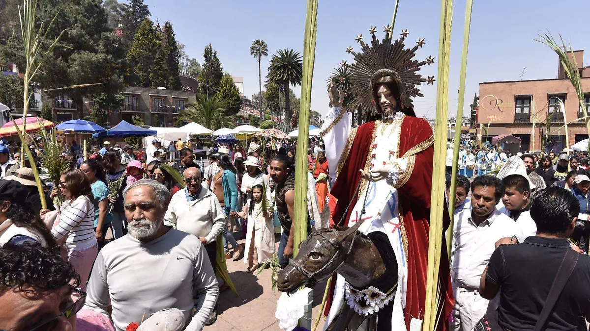 698995_Domingo de Ramos -3_web